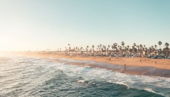 A scenic beach view with gentle waves, a sandy shore, and numerous palm trees under a clear sky. Few people are visible in the distance.